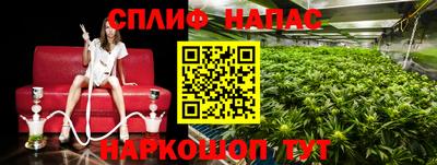 амф Коммунар