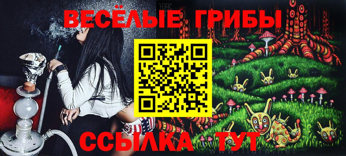 Псилоцибиновые грибы Magic Shrooms Кимовск