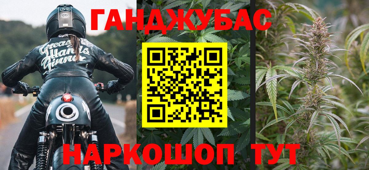 Канабис планчик Кимовск